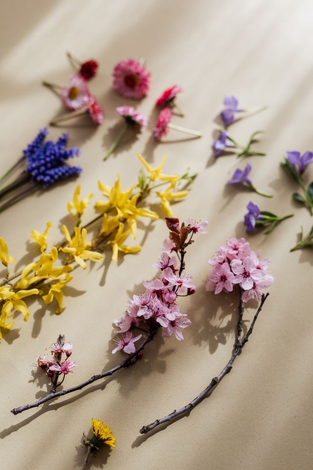 flores-carrousel